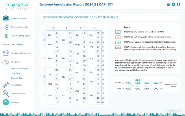 example report page of genetic code