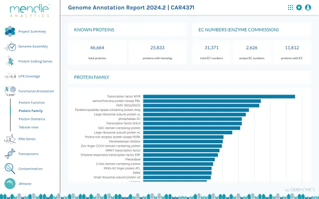 example report page of protein family analysis