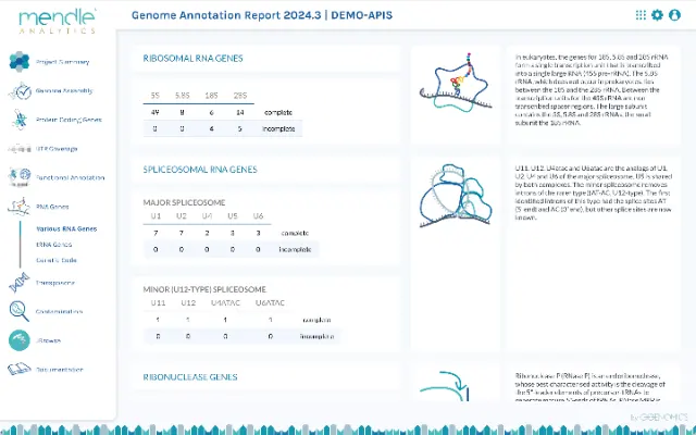 example report page of rna genes