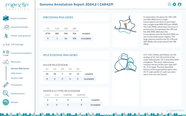 example report page of rna genes