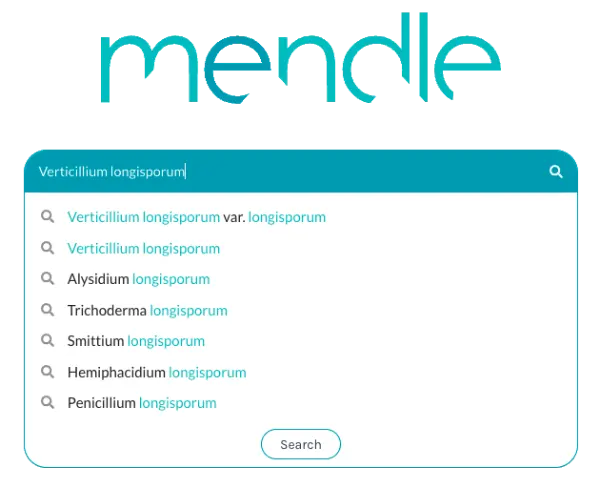 Mendle search example of Verticillium longisporum